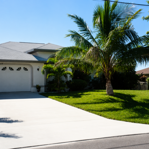 Project Archive custom home sunny suburban scene with palm trees